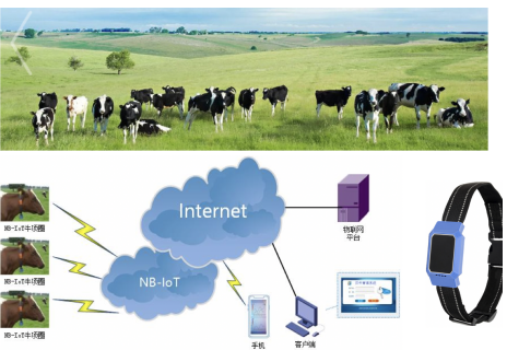 农业加上物联网技术会变得怎样